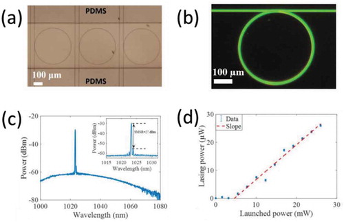 Figure 9. (a) Microring resonator inside a PDMS microfluidic channel. (b) Pump light coupled into a microdisk resonator. Green-light emission from excited Er3+ impurity. (c) Yb3+:Al2O3 microdisk lasing spectrum. Inset shows zoom of the single-mode lasing peak. (d) On-chip integrated laser output power vs. pump power launched into the waveguide