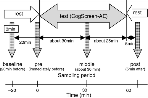 Figure 1 Timeline of the experiment, indicating exposure to cognitive test battery (CogScreen-AE), and timing of salivary sampling.