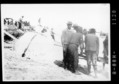 Figure 1. West African longshoremen on the beach at Swakopmund in the early 1900s. (Photo 1128. Source: Scientific Society Swakopmund [Incorporated Association not for Gain].)