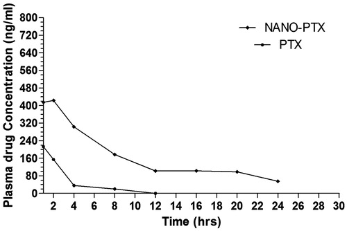 Figure 3. Pharmacokinetic profile of pure drug and PEGylated SLNs of pentoxifylline. NANO-PTX, PEGylated nanoparticles of pentoxifylline; PTX, pentoxifylline.