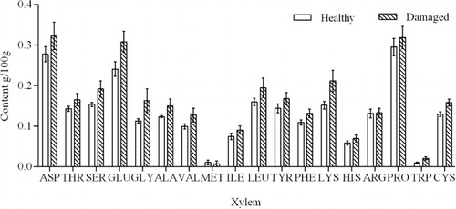 Figure 3. Types and contents of amino acids in the xylems of C. korshinskii.Note: Data show the mean ± standard deviation (n = 3).