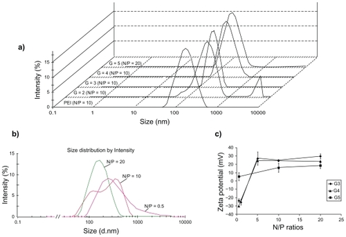 Figure 1 Size distribution by intensity of PAMAM/ANS nanoparticles (a and b) and Zeta potential graphs of different N/P ratios of PAMAM G3 (Display full size), G4 (Display full size), and G5 (▪) in 5% dextrose (c). Fixed concentrations of 500 nM of ANS in 5% dextrose were mixed with different generations of PAMAM at N/P ratio of 10 a). Part a) shows all size distributions at the same intensity scale in one graph. A peak of larger aggregates of G2/ANS nanoparticles can be observed in part a). Nanoparticles of various N/P ratios of PAMAM G5 which were formulated in 5% dextrose are shown in part b). In part c), the represented data are means of two (without error bar) or three (mean ± SD) measurements.Abbreviations: PAMAM, poly(amidoamine) dendrimer; SD, standard deviation; ANS, antisense oligonucleotide.