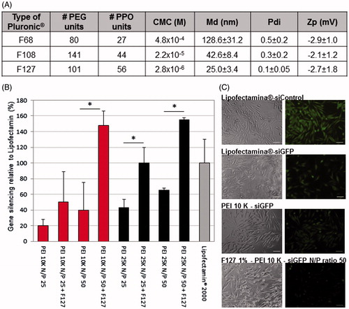 Figure 1. Selection of Pluronic®, combined with the PEI-based polyplexes, for the production of micelles. (A) Poly(ethylene glycol) (PEG), polypropylene oxide units (PPO) and critical micelle concentration (CMC) values of the different Pluronic® used (according to the manufacturer) and the physicochemical characterization (size, polydispersity, surface charge) of the resulting Pluronic®-based micelles. Results are expressed as mean ± SD, n = 3. (B) Differences on the intensity of GFP in GFP expressing RXO-C cells upon incubation with PEI-siRNA polyplexes and PEI-siRNA-Pluronic® micelles (obtained by direct dissolution method). Silencing efficacy reached by Lipofectamin® 2000 was used as gold standard for normalization of the results. Results are expressed as mean ± sd (n ≥ 3). *p ≤ .05 compared to the polyplexes without Pluronic® F127. (C) Fluorescent microscopy photographs confirming the GFP silencing efficacy of the selected formulation for siGFP delivery. No gene inhibition was observed in cells transfected with siControl sequence (siC).