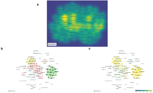 Figure 5. Bibliometric analysis of the co-cited authors and co-authorship of authors in the field of BC immunotherapy. (a) Density visualization map of co-cited authors in the field of BC immunotherapy. (b) Network visualization map of authors collaboration in the field of BC immunotherapy. (c) Overlay visualization map of authors collaboration in the field of BC immunotherapy.