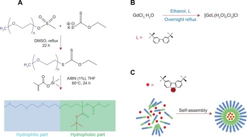 Figure 1 (A) Synthesis strategy of the co-polymer poly(ethyleneglycol-b-trimethylsilyl methacrylate); (B) synthesis strategy of tBuBipyGd complex; and (C) encapsulation of contrast agent during the self-assembly of polymeric nanoparticles (micelles).Abbreviations: THF, tetrahydrofuran; h, hour; AIBN, azobisisobutyronitrile; DMSO, dimethyl sulfoxyde.