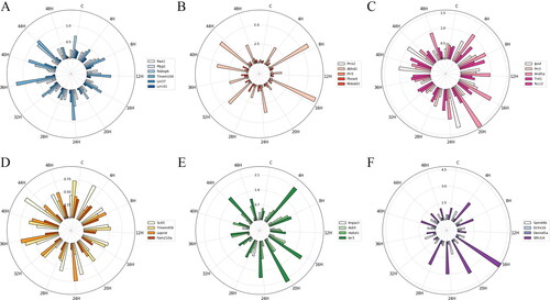 Figure 3. The standard deviation (STD) of mRNA expression in each subgroup at each injury time point. (A) ARE − CC; (B) ARE − BP; (C) ARE − MF; (D) ARE + CC; (E) ARE + BP; (F) ARE + MF. Each circle represents a numerical scale and the radial dividing line is used to distinguish the time of injury. The column diagram inside the circle shows the STD of mRNA expression at the injury time point and different colours represent different mRNAs. ARE, adenylate-uridylate-rich element; ARE+, mRNAs with ARE structure; ARE−, mRNAs without ARE structure; CC, mRNAs classified as cellular componentcategory; BP, mRNAs classified as biological process category; MF, mRNAs classified as multiple function category; C, control.