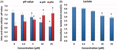 Figure 4. Measurement of intracellular pHi, extracellular pHe and extracellular lactate level. (A) Effects of sulfonamide CA IX inhibitor A1 on pHi and pHe in HeLa cell and media. (B) Effects of compound A1 on lactate level in HeLa cell media. The data are presented as the mean ± SD. (n = 3) *p < .01 compared with the control.