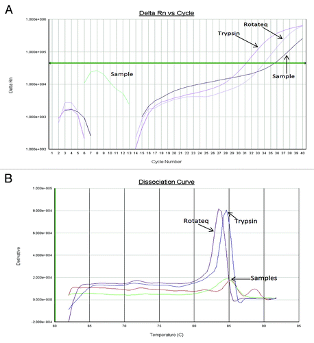 Figure 3. Amplification (A) and melt curves (B) of PCV-2 amplicons from RotaTeq® vaccine stock, PCV-2 contaminated trypsin, and a stool sample from a RotaTeq® vaccinee.