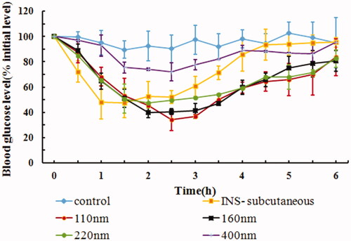 Figure 6. In vivo hypoglycemic effect of IPC-DNVs with different sizes (mean ± SD, n = 3).