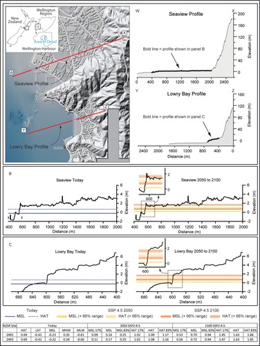 Figure 5. A, Digital elevation model for the Seaview-Lowry Bay study region from terrestrial LiDAR (Wellington – Hutt City LiDAR (2021) 1 m Digital Elevation Model; LINZ) and bathymetry surveys. Location of topographic profiles W-X and Y-Z shown in red. B, Detailed topographic profile across Seaview with key sea surfaces including Mean Sea Level (solid line) and Highest Astronomical Tide (dashed line) shown for ‘today’ (blue lines) and in 2050 (yellow lines) and 2100 (orange lines) under an SSP2-4.5 emissions scenario including vertical land movement. The 66% probability (likely) range for each projection is indicated by the pale yellow and orange bands that encompass the mean value (solid and dashed lines). C, Same as B but for Lowry Bay. Elevation data in metres are listed at bottom of figure and are relative to NZVD 2016. Note these sea level elevation estimates do not include storm surge, wave setup, or wave runup. These dynamic surfaces must be added to the elevation datums when evaluating coastal flooding hazard.