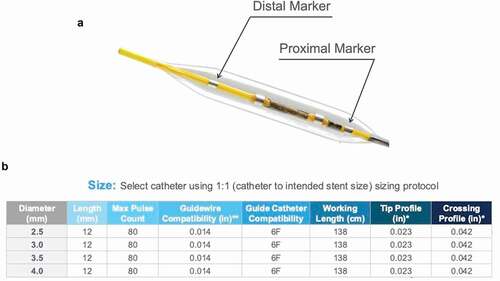 Figure 3. A = Proximal and distal markers of IVL balloon. B = IVL catheter sizes and specifications (modified images with permission from shockwave medical Inc.).