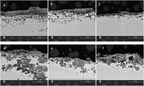 Figure 10. BSE images of IN713LC covered with (a–c) calcium chloride and (d–f) sodium chloride salt deposits exposed to air + 300 vppm SOx gaseous atmosphere gas for 240 h.