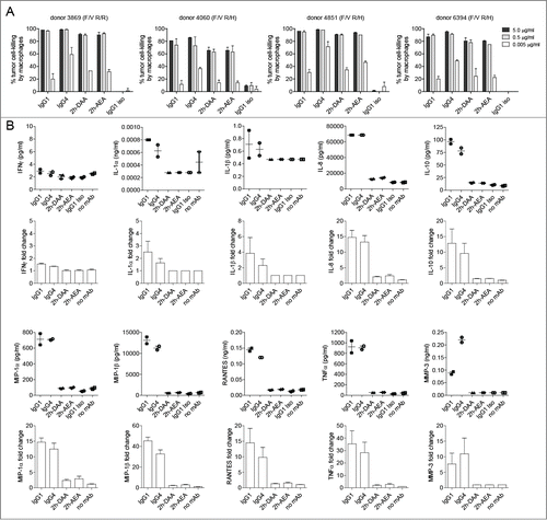 Figure 5. Macrophage-mediated ADCR is dependent on interactions with FcγRI. (A) Macrophage 24-h tumor cell-killing is depicted for 4 independent donors (duplicate measurements per experiment). (B) At the end of the 24-h incubation in the tumor cell-killing assay, supernatants were collected and analyzed for cytokine levels. Dot plots on top represent the concentration of cytokines detected from a single donor (duplicate measurements per experiment), and the bar graphs below represent the mean +/− SEM fold-change in cytokine levels normalized to the isotype control from 4 independent PBMC donors.