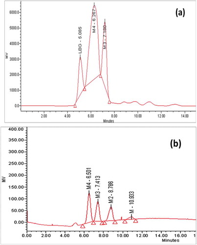 Figure 6. HPLC analysis of mannan hydrolysis: Equal volumes (1 ml each) of substrate (0.5% w/v) and mannanase (36 U/mg) at 50 °C under constant shaking. a) Hydrolysis of LBG; b) Standards, mannose (M), mannobiose (M2), mannotriose (M3), mannotetraose (M4).
