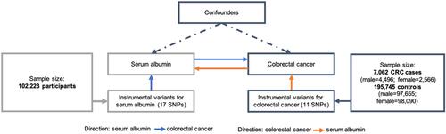 Figure 1 Study flowchart.