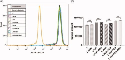 Figure 4. Fluorescence intensity of different liposomes by flow cytometry. The results are expressed as means ± SD (n = 3). L: coumarin-6 loaded conventional liposomes; L-RCM: RCM-coated liposomes; L-TAT: coumarin-6 loaded TAT-modified liposomes; L-TAT-RCM: RCM-coated TAT-modified liposomes; L-PCM: coumarin-6 loaded PCM-modified liposomes; L-PCM-RCM: RCM-coated PCM-modified liposomes; L-TAT-PCM: coumarin-6 loaded TAT-PCM-modified liposomes; L-TAT-PCM-RCM: RCM-TAT-PCM-modified liposomes.