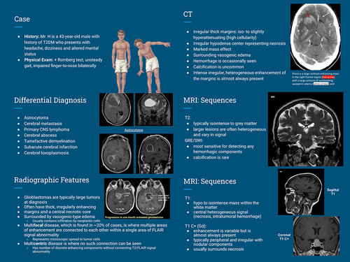 Figure 1 A few slides from a module (glioblastoma multiforme).