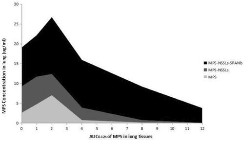 Figure 6. AUC0–12 h of MPS levels in lung tissues. MPS-NSSLs-SPANb, MPS-NSSLs, or MPS were injected into rats via the tail vein. MPS levels in lung tissues were determined by HPLC. AUC0–12 h of MPS was 17.16 μg/g. AUC0–12 h of MPS-NSSLs-SPANb group was 158.19 μg/g. Re = 9.22.