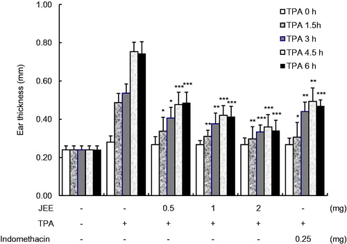 Figure 5. Effect of JEE on TPA-induced ear edema of mice. JEE and indomethacin were applied topically immediately after TPA treatment, and ear thickness measured at before and 1.5, 3, 4.5, and 6 h intervals. Each value represents as means ± SEM. *p < 0.05, **p < 0.01, and ***p < 0.001 were used to indicate significance compared with control.