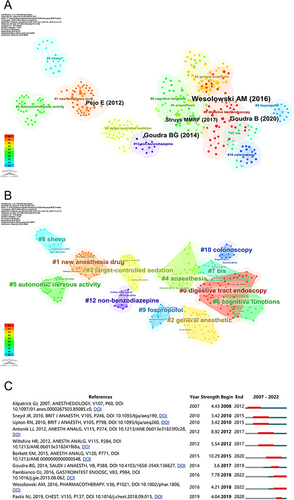 Figure 10 (A) Co-citation graph of remimazolam-related articles. (B) Cluster network graph of the remimazolam-related articles. (C) Top 10 references with the strongest citation bursts.