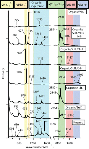 Figure 6. Example Raman spectra of the fingerprint region (<1600 cm−1) and higher energy region (2700–3600 cm−1) of particle types identified within the organic class of SOAS aerosol particles. Each spectrum was normalized to the highest intensity peak.