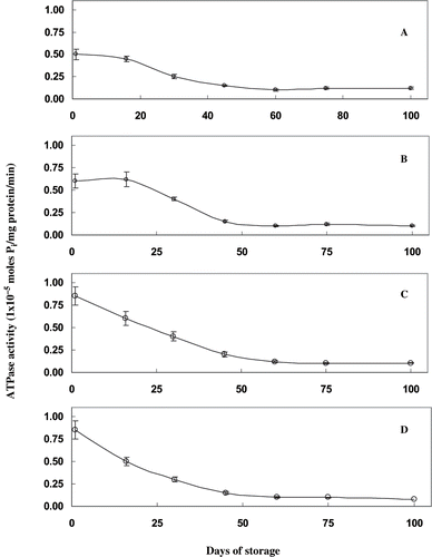 Figure 1 Ca2+ ATPase activity of proteins extracted from sardine mince treated with different concentrations of mannitol during frozen storage. Ca2+ ATPase activity is expressed as moles of inorganic phosphate released per mg of protein per minute. A) control samples, without mannitol treatment; (B) samples treated with 2% mannitol; (C) samples treated with 4% mannitol; and, (D) samples treated with 6% mannitol.