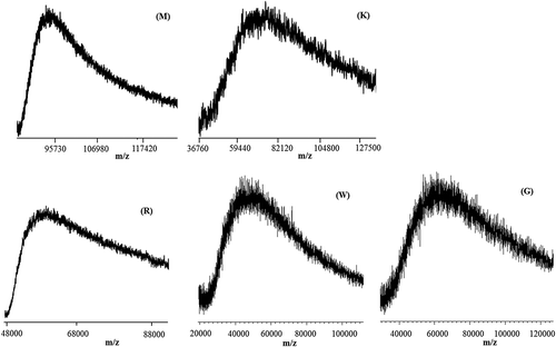 Figure 7. Matrix-assisted laser desorption/ionization time-of-flight (MALDI-TOF) mass spectra in the higher mass range of M, K, R, W and G silks.