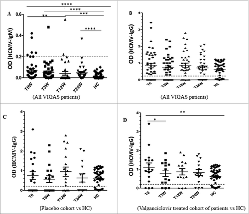 Figure 1. Levels of HCMV IgG and IgM antibodies at baseline (T0W) and after treatment for 3 weeks (T3W) and 24 weeks (T24W) in VIGAS patients and healthy controls (HC). (A) IgM levels and HC (n = 130). T0 vs. HC, p < 0.0001; T3W vs. HC, p <0 .0001; T12W vs. HC, p = 0.0008; T24W vs. HC, p < 0.0001; H0 vs. T12W, p = 0.009. (B) IgG levels in VIGAS patients (n = 42) and HC (n = 50). (C) IgG levels in placebo-treated VIGAS patients (n = 20) and in HC (n = 50). (D) IgG levels in valganciclovir-treated VIGAS patients (n = 22) and in HC (n = 50). T0 vs. HC, p = 0.005; T0 vs. T3W, p = 0.023.