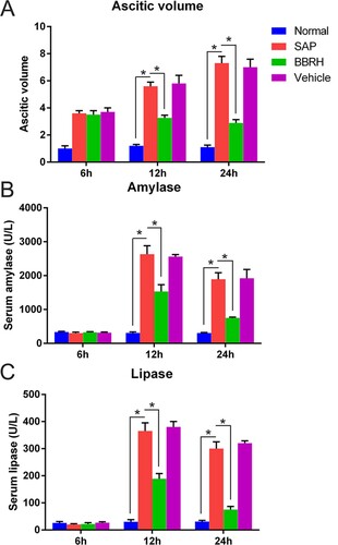 Figure 2. Effects of BBRH on the volume of ascitic fluid and serum amylase and lipase levels in all groups. (A) Ascitic fluid volume in pancreatic tissue. (B, C) Blood samples were collected at 6, 12, and 24 h for amylase and lipase assay after SAP modeling. Result is presented in the form of mean ± SD (n = 15 per group). Differences among various groups are assessed using ANOVA. *P < 0.05.