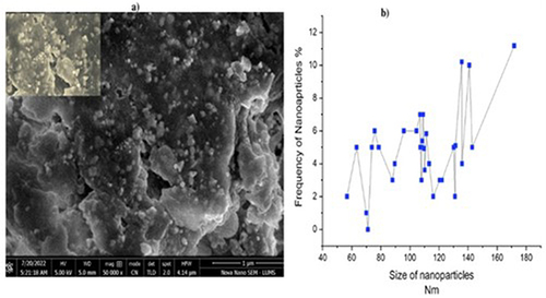 Figure 4 SEM analysis of silver nanoparticles at different magnification fig (a) shows the 2000,000 magnification of silver nanoparticle and fig (b) show the 50,000 magnifications.