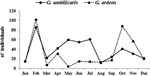 Figure 1. Gibbula umbilicaris and G. ardens annual variations in abundance (number of individuals) for each month, obtained by pooling data from all sampled depths.