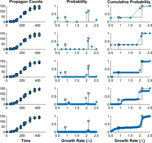 Figure 4. Simulated Data with Bimodal Growth Distribution. Each row demonstrates our ability to determine the best fit data to a set of simulated propagon counts with increasing numbers of equally spaced nodes in our discrete model: (Row 1) 5 Nodes, (Row 2) 10 Nodes, (Row 3) 25 Nodes, (Row 4) 50 Nodes and (Row 5) 100 Nodes. In each row we depict: (Left) the simulated propagon counts (black circles) and best fit model output (blue); (Centre) the true probability density (black) compared to estimated probability density (blue) and (Right) the true cumulative distribution (black) compared to estimated cumulative distribution function. We see that with increasing nodes we converge to the cumulative distribution.