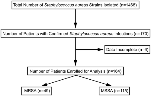 Figure 2 Screening flowchart of research objects.