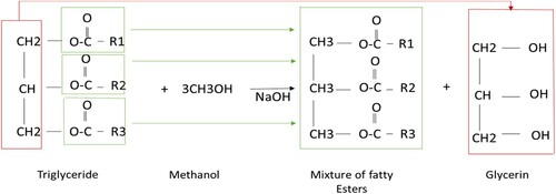 Figure 1. Trans-esterification reaction.