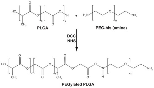Figure 1 Synthesis of PEGylated-PLGA copolymer.Abbreviations: PEG, poly(ethylene) glycol; PLGA, poly(lactic-co-glycolic acid).