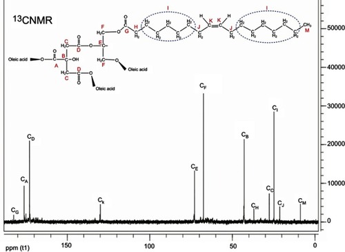 Figure 3 13CNMR spectrum of polymeric nanoparticle modified by oleic acid (NPMO) in D2O.