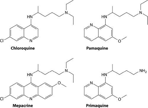 Figure 2. Chemical structures of the synthetic antimalarials created by I.G. Farben/Bayer in Germany during the 1920s and 1930s (pamaquine, mepacrine and chloroquine) and primaquine from the US Army during the 1940s. Reproduced from CitationRef. 6 with the permission of Clinical Microbiology Reviews.