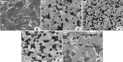 Figure 2. SEM images of the fracture surfaces of (a) sample 100N, (b) sample 10S, (c) sample 20S, (d) sample 30S, and (e) microcracks in sample 30S. The circles in (c) and (e) show microcracks, and the magnification of (e) is different.