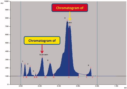 Figure 5. Chromatogram of GSEE (quercetin, spot 4, Rf = 0.23; rutin, spot 7, Rf = 0.52) at 360 nm; mobile phase, acetonitrile:water (4:6, v/v).