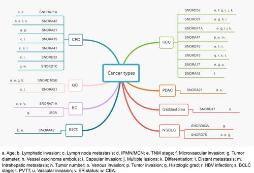 Figure 3 Mind map of included studies by clinicopathological features and by cancer types.