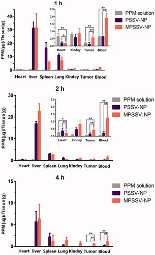 Figure 3. Tissue distribution of PPM after intravenous administration of PSSV-NPs and MPSSV-NPs injection in H22-bearing mice in blood, tumor, liver, spleen, lung, kidney, and heart (*p < .05, **p < .01, and n − 5 for each time point).