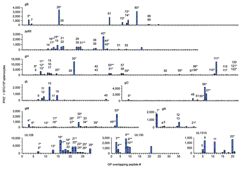 Figure 3. E-DNA vaccination was highly T cell immunogenic. Mice (n = 5/group) were immunized twice with EP delivery of the indicated CMV vaccine plasmid and IFNγ responses were measured by modified IFNγ ELISPOT. Splenocytes were incubated in the presence of individual peptides spanning each consensus CMV immunogen and results are shown in stacked bar graphs (summarized in Table 1). Peptides eliciting CD4-restriced IFNγ responses, CD8-restricted (*), and dual CD4/CD8-restricted responses (**), as determined by FACS analysis, are individually numbered and displayed. Putative shared epitopes for contiguous positive peptide responses are italicized.