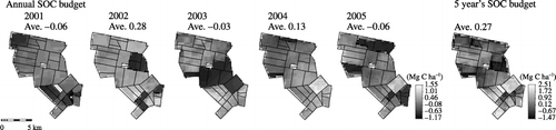 Figure 7  Annual soil organic carbon budget from 2001 to 2005, and 5 years SOC budget.