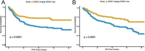 Figure 2. Low NR3C1 expression predicts worse overall survival and worse progression-free survival of DLBCL in GSE31312 (n = 470). A, PFS in different NR3C1 expression groups of DLBCL in the GSE31312 dataset. Kaplan – Meier curves were used. OS, P < 0.0001, log-rank test. The X-axis represents OS time (years) and PFS time (years), and the Y-axis represents survival probability. The yellow line represents the NR3C1-high group (n = 258), and the blue line represents the NR3C1-low group (n = 212). OS: overall survival rate. PFS: progression-free survival rate. B, OS in different NR3C1 expression groups of DLBCL in the GSE31312 dataset. Kaplan – Meier curves were used. PFS, P < 0.0001, log-rank test. The X-axis represents OS time (years) and PFS time (years), and the Y-axis represents survival probability. The yellow line represents the NR3C1-high group (n = 258), and the blue line represents the NR3C1-low group (n = 212). OS: overall survival rate. PFS: progression-free survival rate.