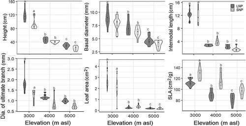 Figure 2. Violin plots with Bonferroni pairwise comparisons showing the differences in morphological features between the three elevation zones in LNP and SNP. Within three elevation zones in LNP and SNP, features that do not share the same alphabet have significantly different values (p < .05). See Supplement 4 for details of statistical analyses.