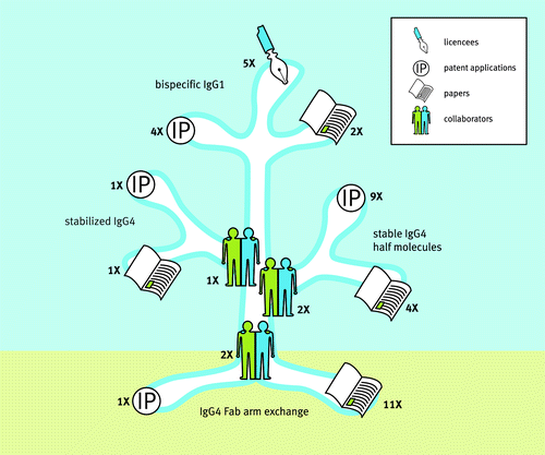 Figure 2. Science growing into applications. Insight in IgG4 biology and the unraveling of the IgG4 Fab-arm exchange process formed the roots for 3 major branches of research that led to the generation of scientific papers and intellectual property through various industry-academia collaborations. These culminated in 3 novel antibody technology platforms for the generation of stabilized IgG4, stable IgG4 half molecules (UniBody®) and bispecific IgG1 (DuoBody®). Numbers indicate: the number of collaborating parties involved; the number of patent applications filedCitation26,Citation27,Citation29-Citation35,Citation38-Citation41,Citation52; the number of scientific papers publishedCitation20-Citation25,Citation36,Citation37,Citation53-Citation62; and the number of platform licensees that occurred between 2003 (the beginning of the IgG4 project within Genmab) and April 2014. Source: Joost Bakker (Scicomvisuals).