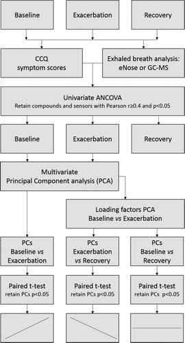 Figure 1. Statistical analysis.