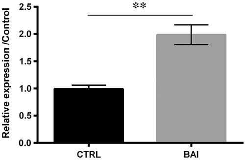 Figure 3. Baicalein positively regulated miR-9 expression by the method of qRT-PCR. Data was shown as mean ± SD. *p < .01.