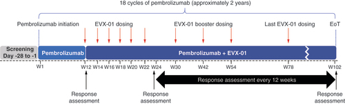 Figure 1. Overview of trial design. EoT: End of treatment; W: Week.