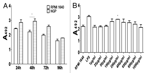Figure 2. Determination of BMDCs proliferation at different time point (A) and at different concentration of NGP (B) by MTS method.